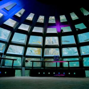 Seattle Aquarium glass atrium dome looking out into surrounding tank