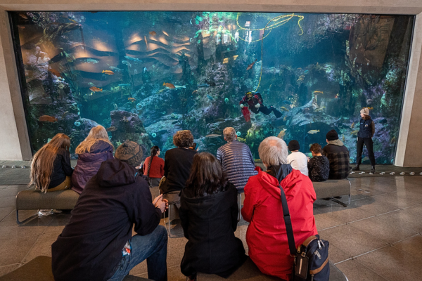 Itinerary Inspo: Seattle Waterfront Walking Tour Seattle Aquarium