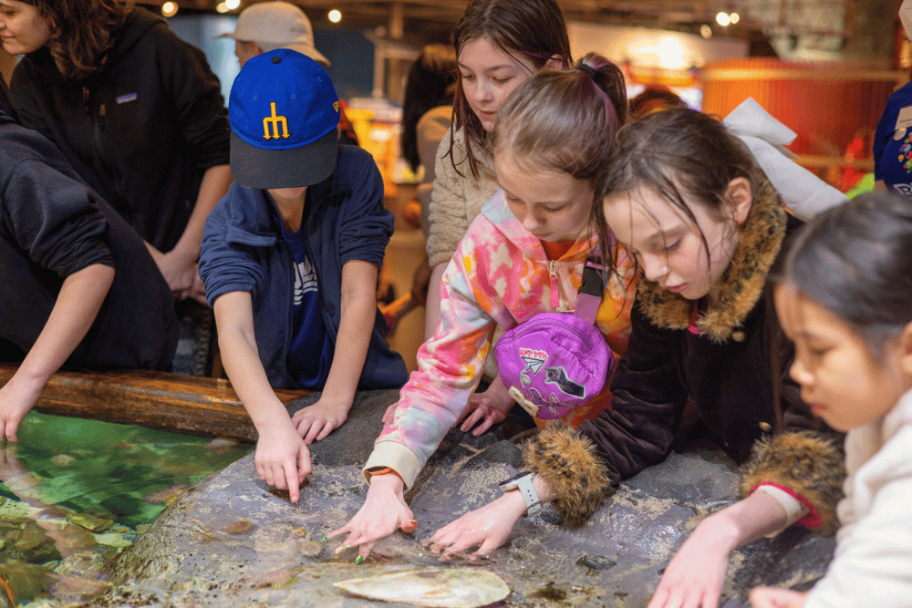 Must-Visit Seattle Activities For Tourists - PacSci