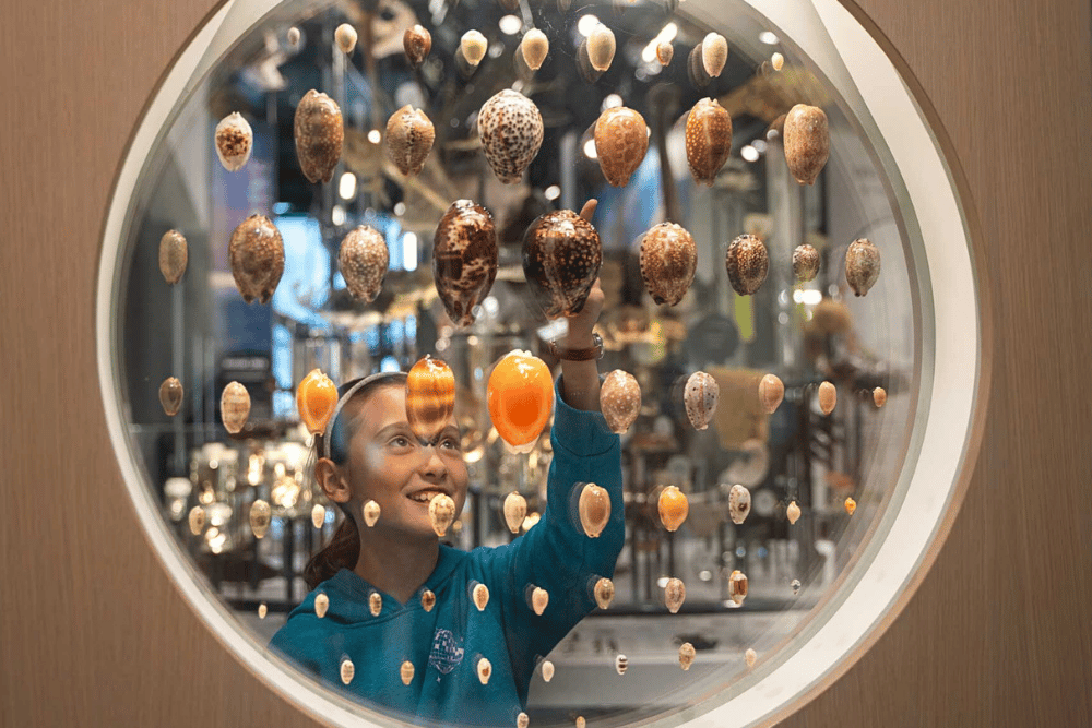 Seattle Weekend Sightseeing In Your Own City - Burke Museum
