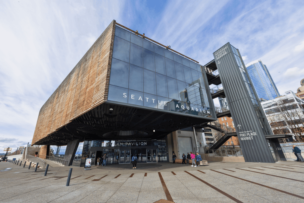 Seattle Weekend Sightseeing In Your Own City - Seattle Aquarium