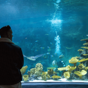 Top Events in Seattle - Seattle Attractions - Seattle Aquarium