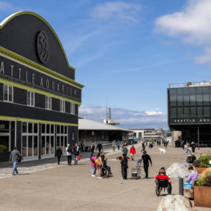 Perfect Day Trip: Seattle Itinerary For First-TImers - Seattle Aquarium