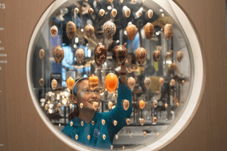 Seattle Museums For Science Lovers: Top Picks - Burke Museum