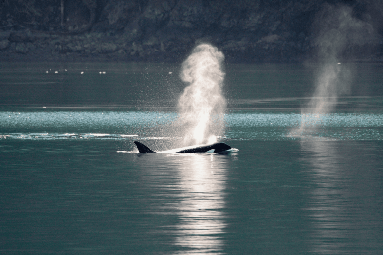 Seattle Museums For Science Lovers: Top Picks - San Juan Safaris