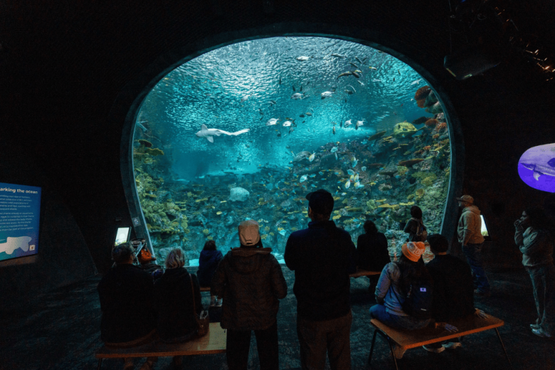 Seattle Museums For Science Lovers: Top Picks - Seattle Aquarium