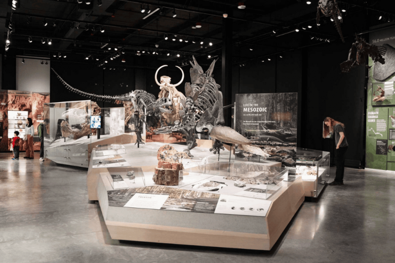 Seattle Tours For History Buffs To Explore The Past - Burke Museum