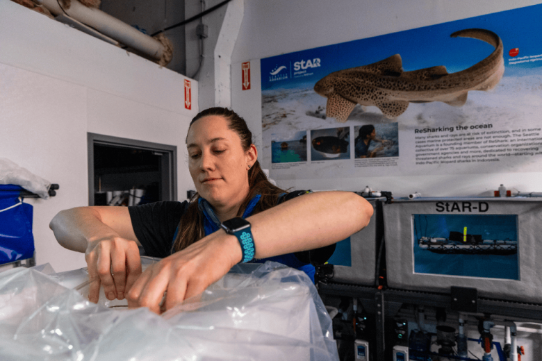 Seattle's Best Marine & Wildlife Experiences & Conservation Education - Seattle Aquarium