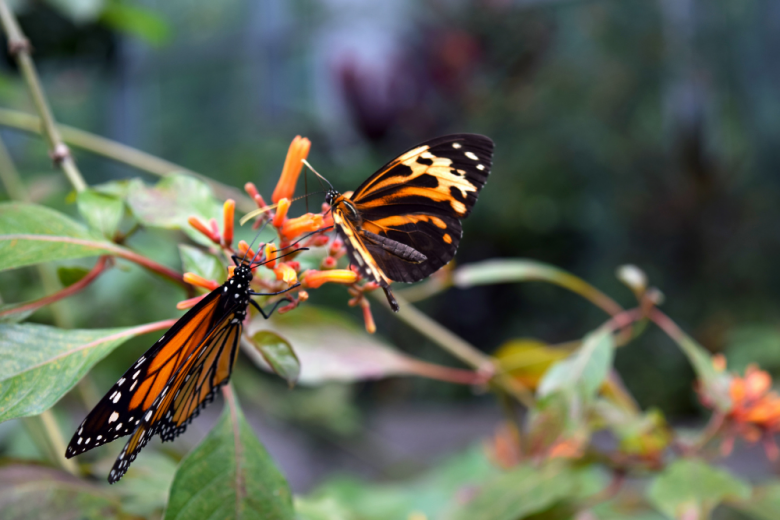 Instagram Worthy Spots in Seattle - Pacific Science Center